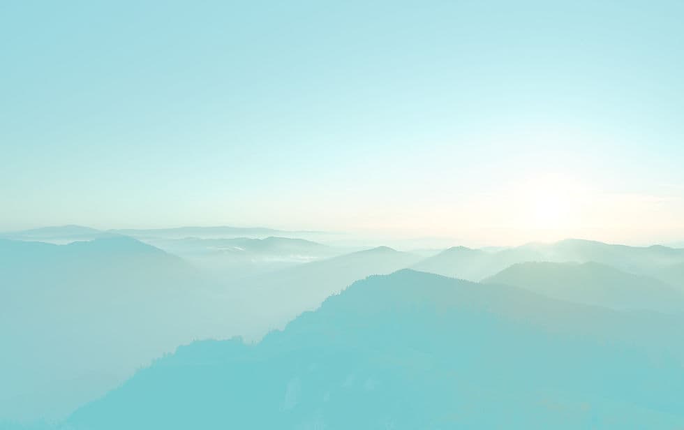 The Salt Chuck cedar barrel sauna in an outdoor rustic setting